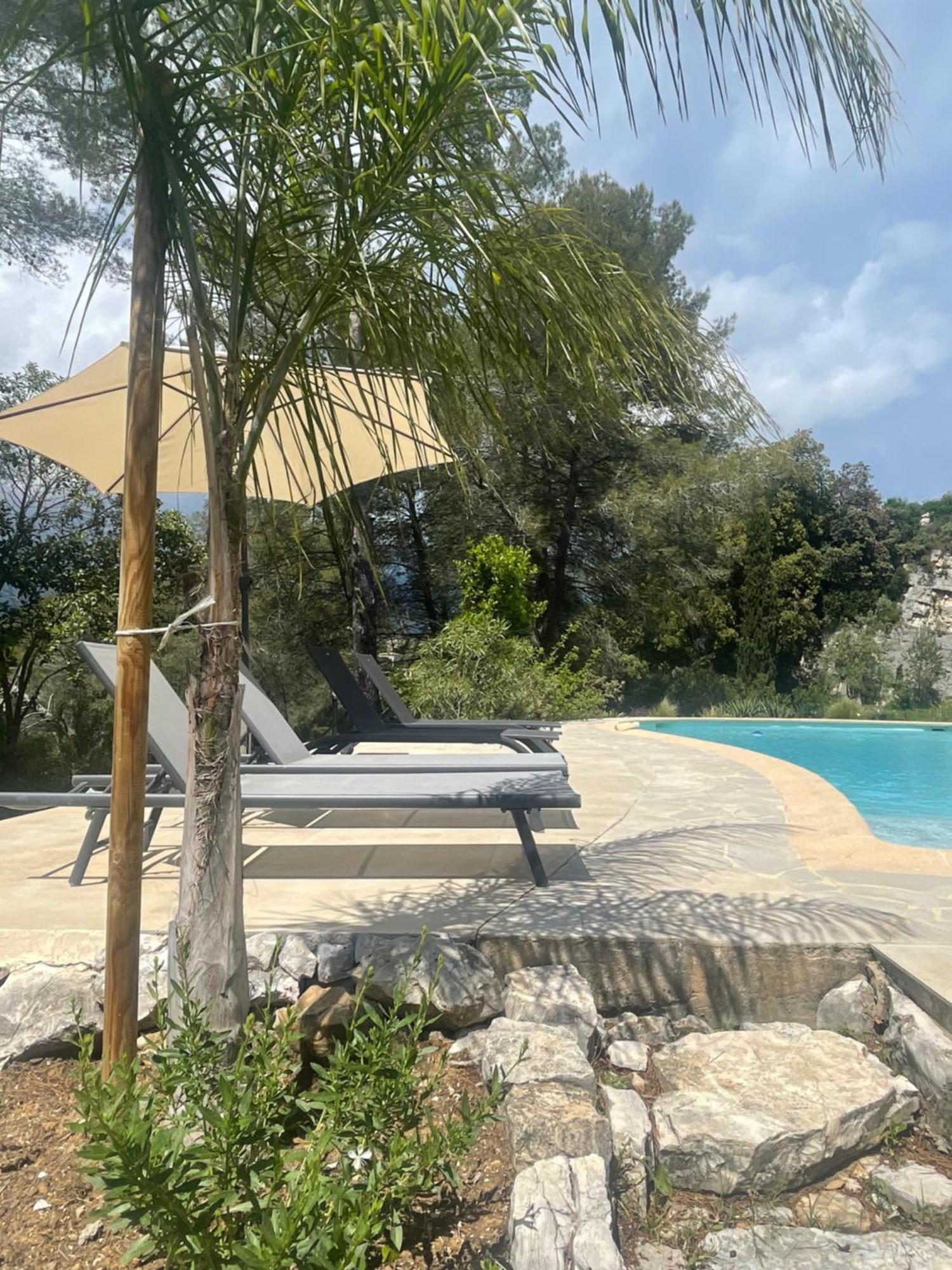 La Villa Des Carriers- Maison Avec Piscine Proche Mer Roquefort Les Pins Eksteriør billede