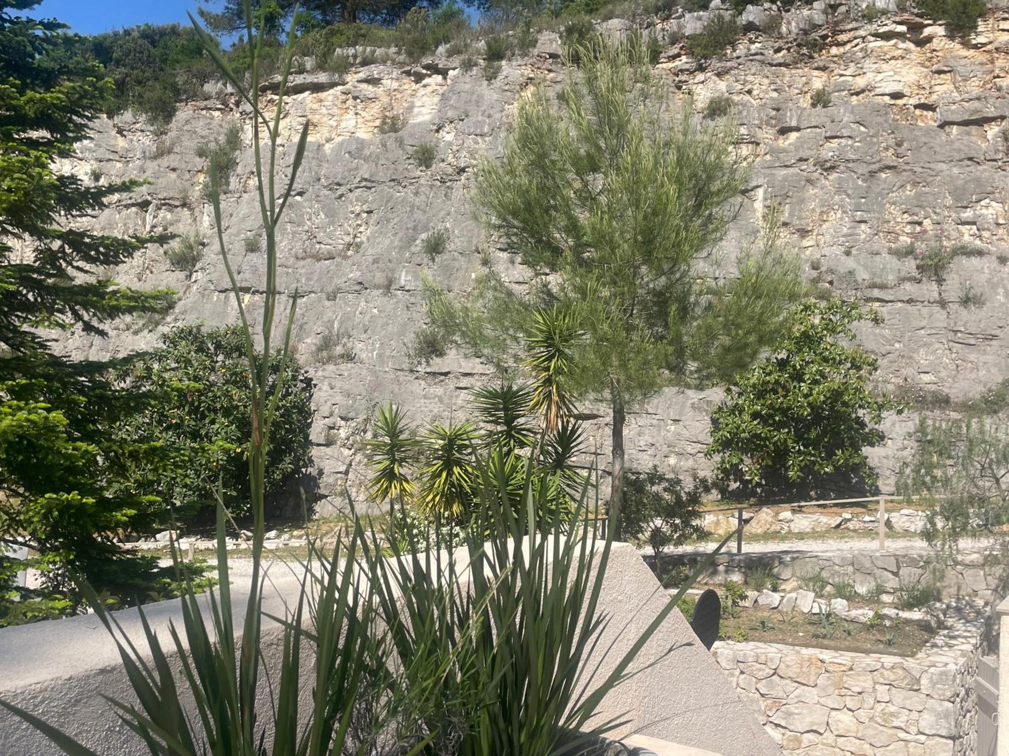 La Villa Des Carriers- Maison Avec Piscine Proche Mer Roquefort Les Pins Eksteriør billede